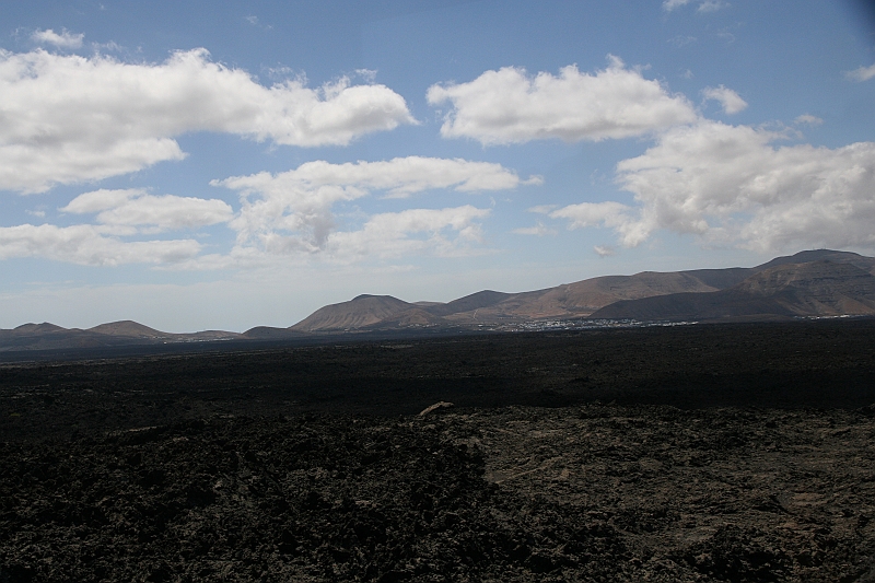 Kanary_2010 092